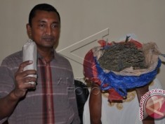 20150723pengedar-ganja-di-aceh-07