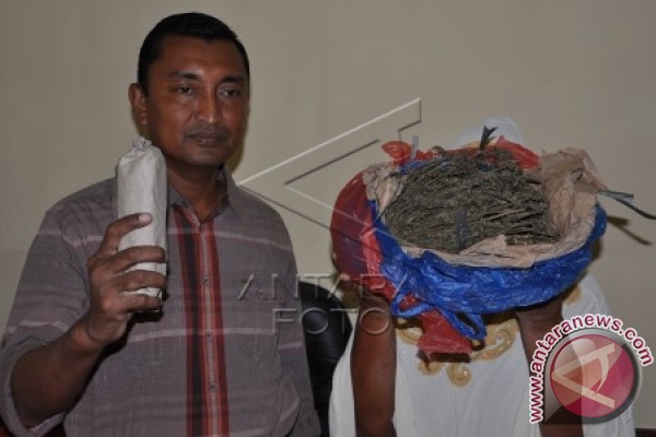 20150723pengedar-ganja-di-aceh-07